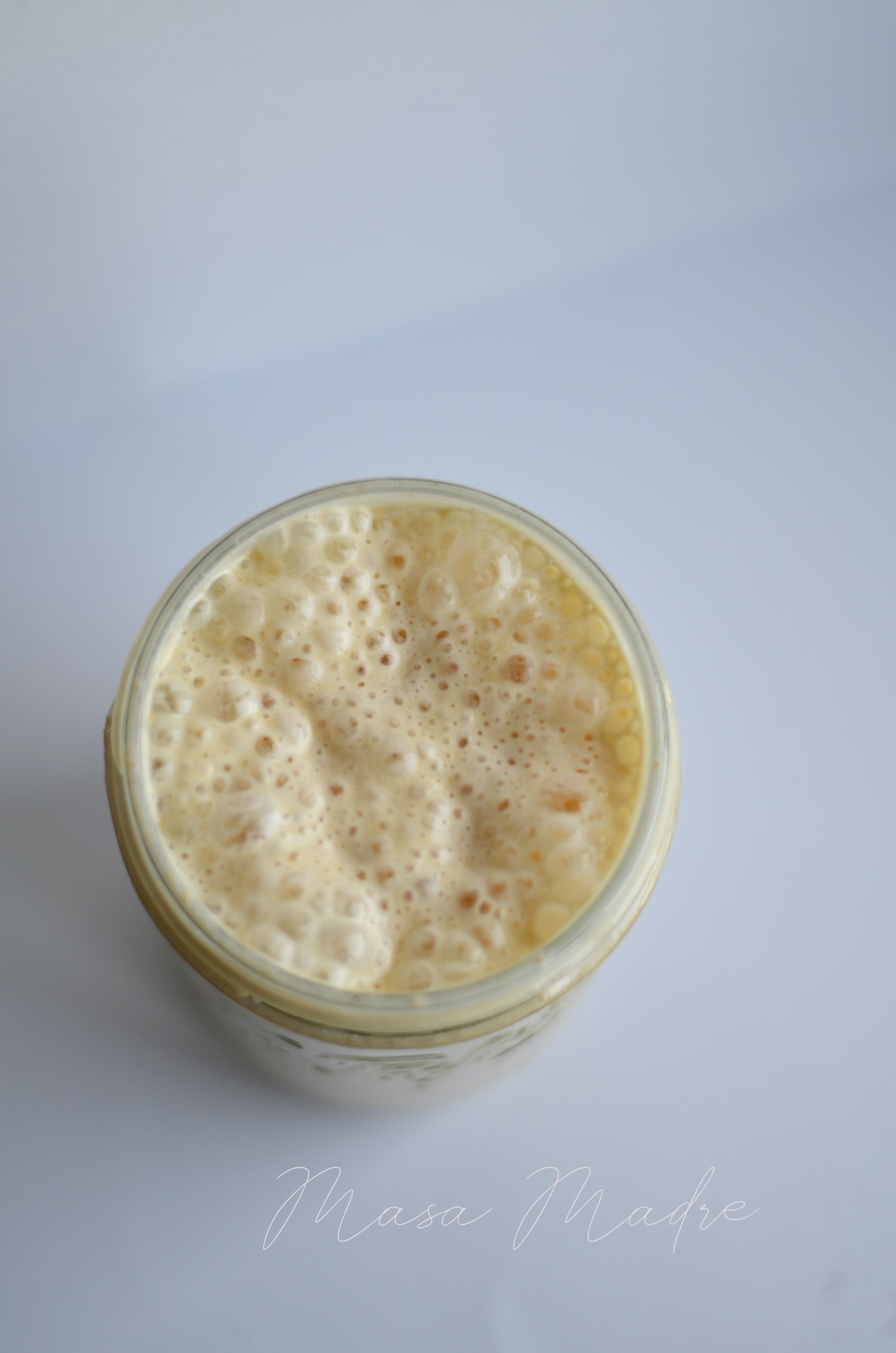 Masa Madre Principal