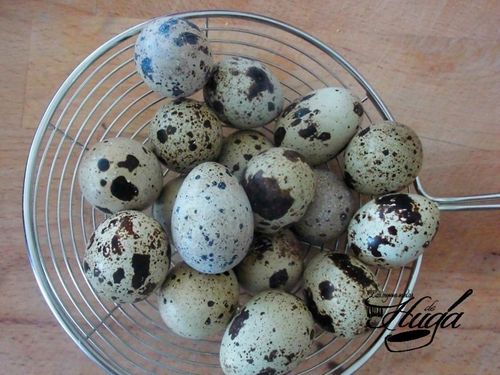 Huevos de codorniz