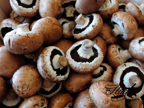 Champiñones portobello