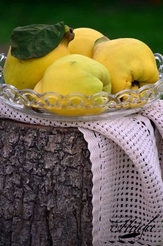 Dulce de membrillo fruta
