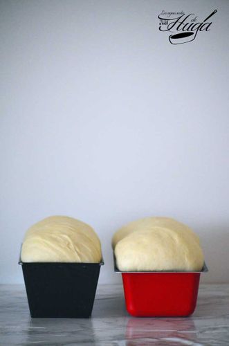 Pan de molde molde
